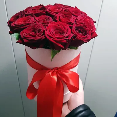 Удивительные красные розы на картинах