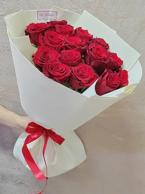 Превосходное изображение 15 красных роз в высоком качестве