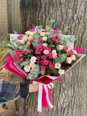 Макро снимок кустовых роз на фото