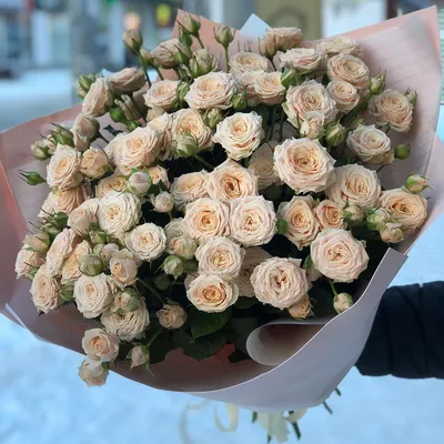 Фотография с яркими кустовыми розами
