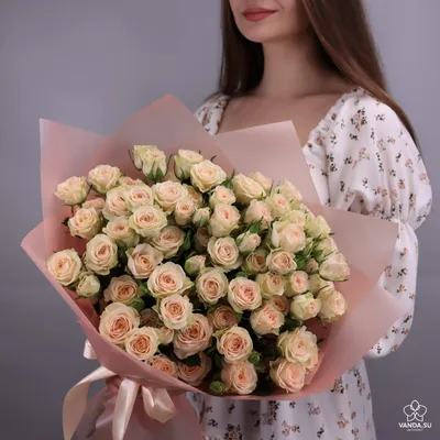 Красивые кустовые розы на фото
