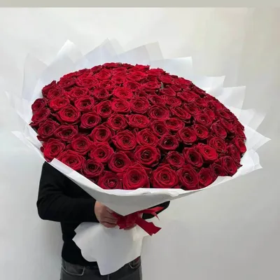 Прекрасная картинка розы для скачивания в png формате