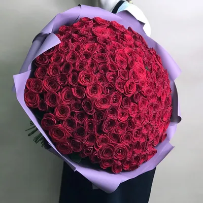 Фото розы, которое станет великолепным украшением вашего экрана