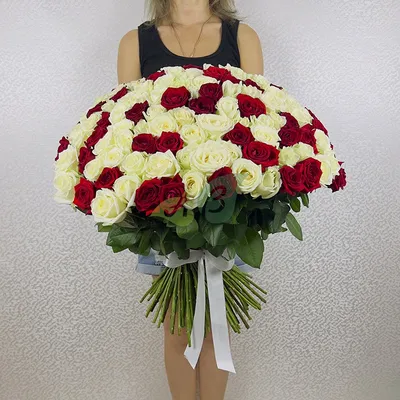 Фотография розы с потрясающим качеством изображения в png формате