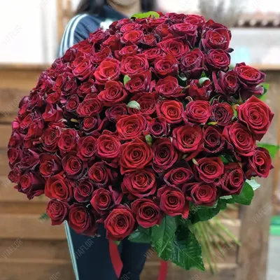 Изысканный снимок розы доступен в нескольких размерах