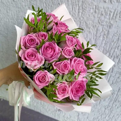 Фото ароматной розы в формате webp
