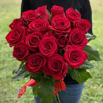 Изображение розы для скачивания в формате png