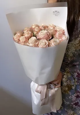 Фото розы с возможностью печати в высоком разрешении