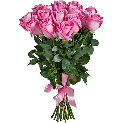 Фотка ароматной розы на главную страницу вашего сайта