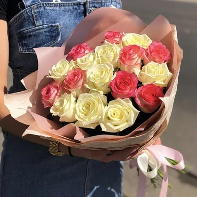 Прекрасное изображение розы в формате jpg