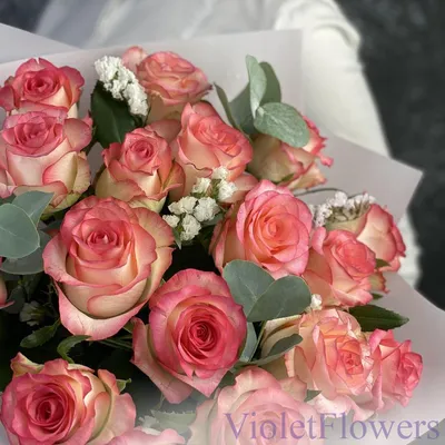 Фотография розы для использования в дизайне и рекламе