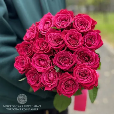 Фото розы с возможностью выбора размера для печати в png