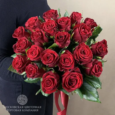 Красивые фото 20 роз в разных размерах