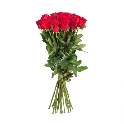 Романтические изображения 20 роз с возможностью выбора формата