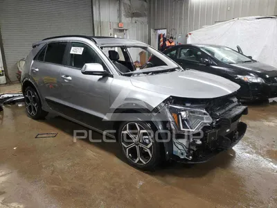 2023 Kia Niro: Фото на природе