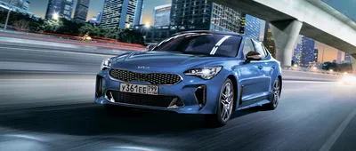 Скачать бесплатно фото 2023 Kia Stinger