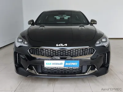 Фото 2023 Kia Stinger на фоне города