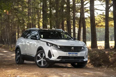 Скачайте фото Peugeot 3008 2023 года