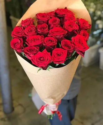 Фото розы: 21 изумительный цветок