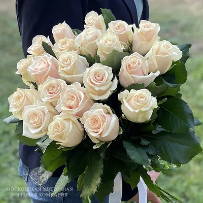 Букет роз на фото: 21 прекрасная композиция