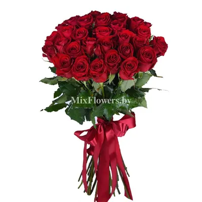 Розы в формате jpg: 21 ароматный букет
