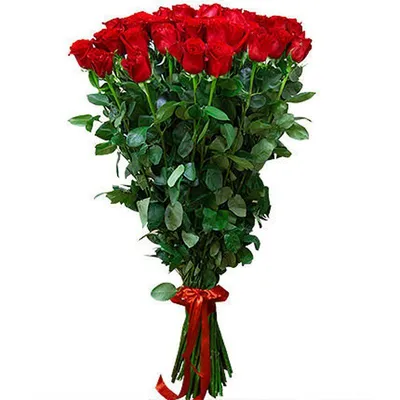 Букет роз на фото: 21 привлекательный цветок