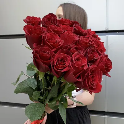 Красивые розы на фото