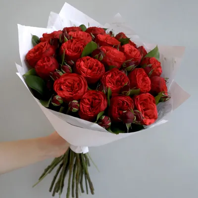 Букет роз на фото: 21 изысканный цветок