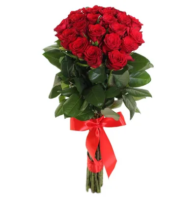 Красивые розы на фото: 21 изысканный букет