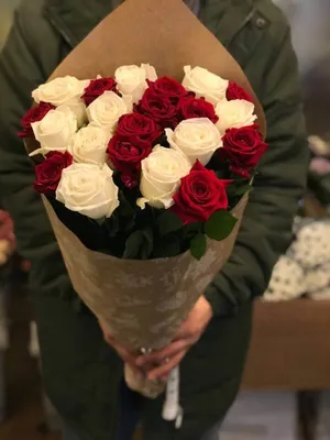 Фотография розы: 21 изысканный цветок