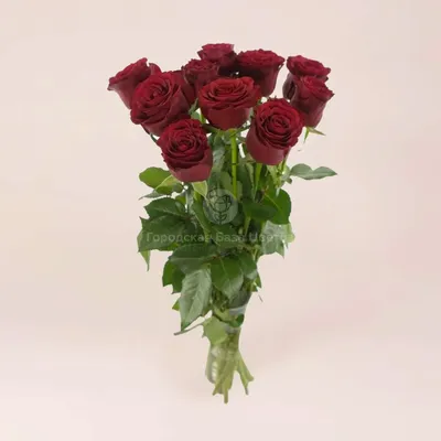 Идеальная красота: скачайте фотографию с прекрасными розами в формате webp