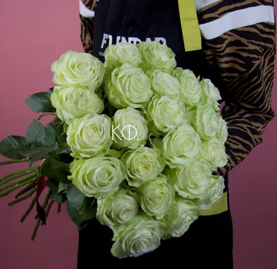 Фото, картинка: 23 розы доступны для скачивания в формате jpg