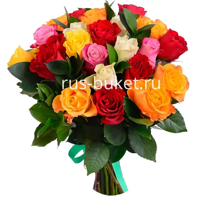 Фото 23 розы во всей красе: выберите размер и формат для сохранения