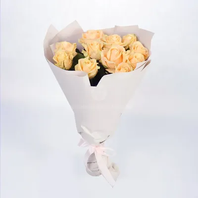 Фото, изображение: 23 розы доступны для скачивания в формате jpg