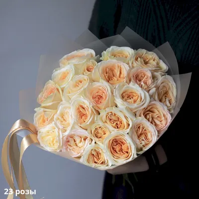 23 розы: скачайте картинку с уникальными цветами в формате png