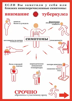 Визуальное путешествие в мир борьбы с туберкулезом в День его освещения (24 марта)