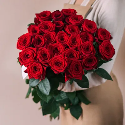 Уникальные фотографии 25 красных роз в формате jpg, png и webp