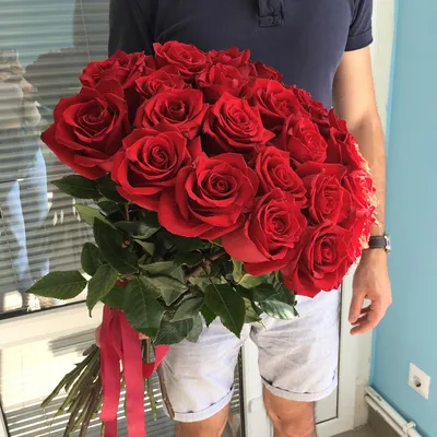 Изумительные 25 красных роз для загрузки в png формате