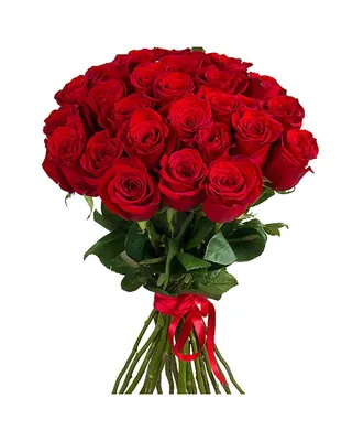 Волшебные кадры 25 красных роз для вашего выбора
