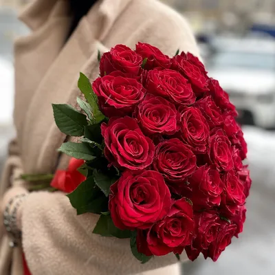 Впечатляющие фотографии 25 красных роз для скачивания