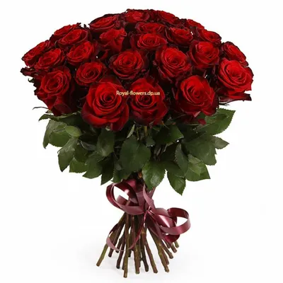 Ошеломительные фотографии 25 красных роз для скачивания