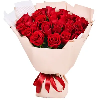 Фото 25 красных роз: выберите формат и размер изображения