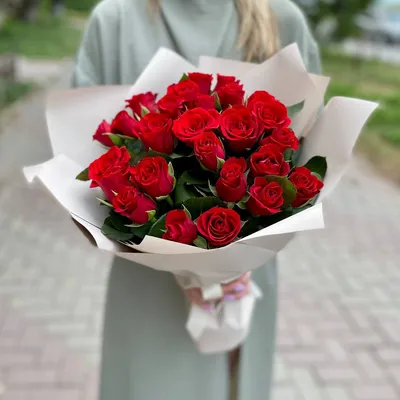 Фотографии 25 красных роз в форматах jpg, png и webp