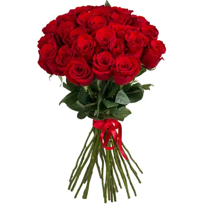 Фото 25 красивых роз: выберите формат и размер изображения