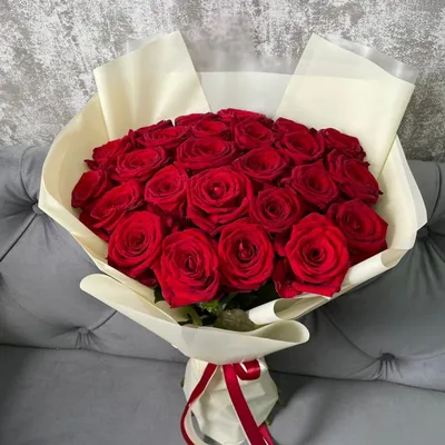 25 красных роз в различных форматах: jpg, png, и webp