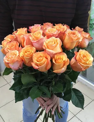Изображение букета роз - 25 роз 40 см (png)