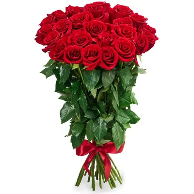 Фото розы 25 роз 70 см: выберите подходящий размер