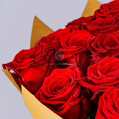 Изображение 27 роз для скачивания в webp формате