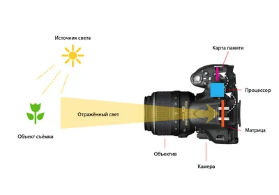 Фотка автомобиля с объективом и выбором формата