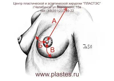 Человеческая уникальность: PNG фото 4 соска